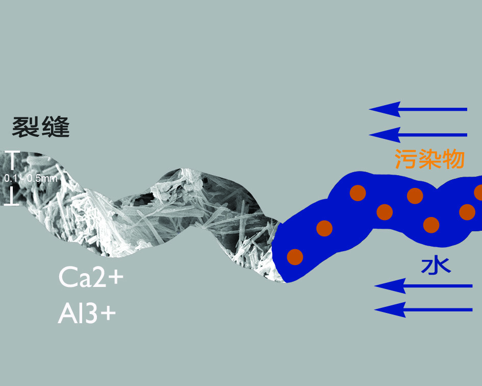 PENETRON ADMIX sealing voids and microcracks